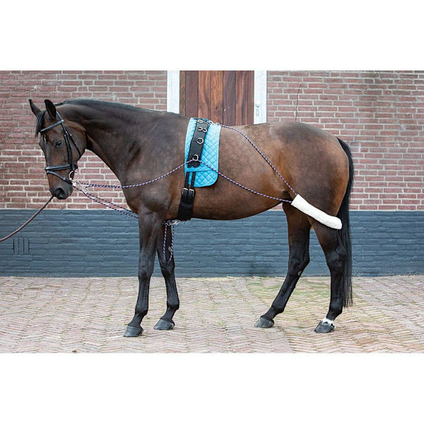 Harry´s Horse Harjoitteluapu  Pony