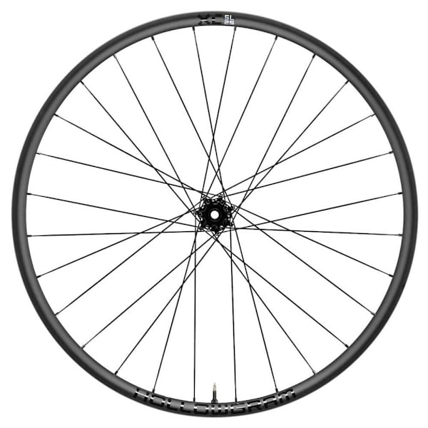 Cannondale Mtb Etupyörä Xc-sl 25 6b Disc 29´´ Hopeinen 15 x 110 mm