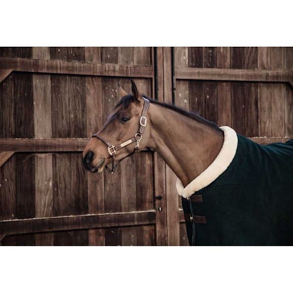 Kentucky Visa Matta Heavy Fleece  155 cm
