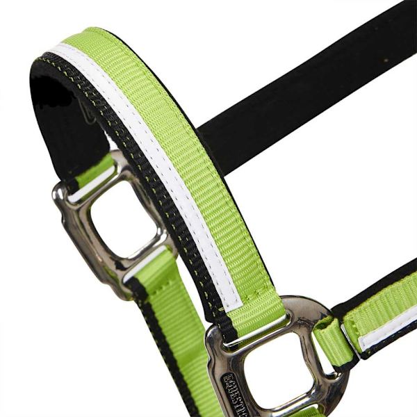 Equestro White Trim Riimu Ja Talutin  Coby