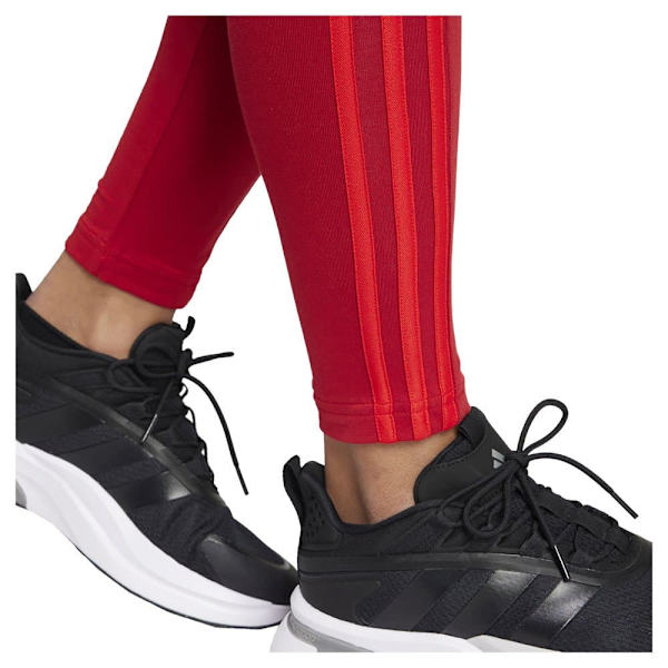 Adidas Trikåer Fc Bayern Munich 24/25  XS