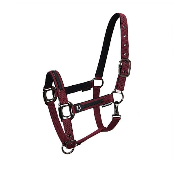 Equestro Elegance Riimu Ja Talutin  Coby