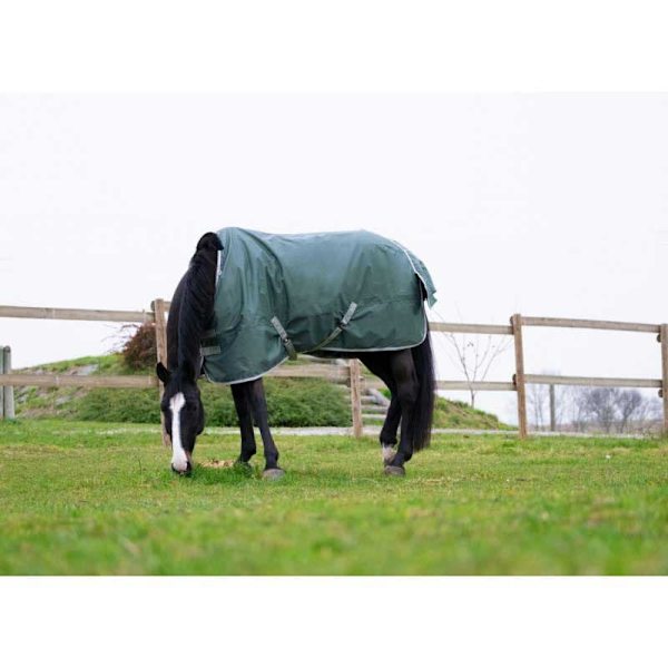 Equitheme Återvunnet Valdeltagande Matta Tyrex 600 D Polyfil 300g Grönt 198-150 cm