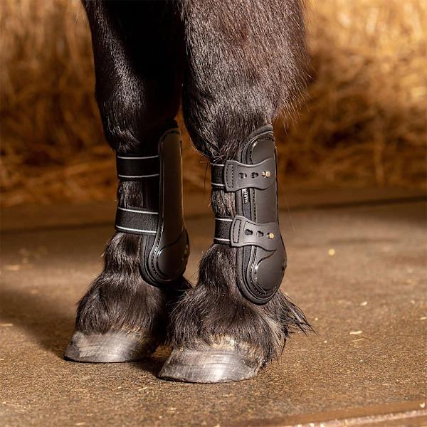 Harry´s Horse Pinlock Jännekiinnikkeet  Shetland