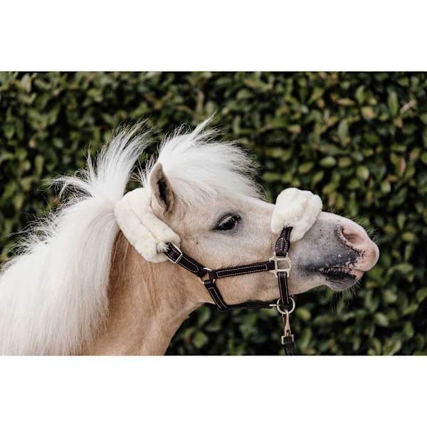 Kentucky Lampaannahkainen Nahkariimu  Shetland Pony