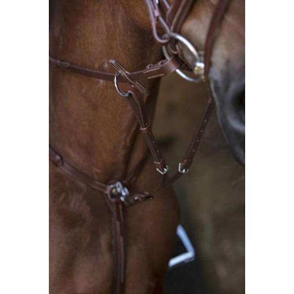 Norton Equestrian Brystplade Med Martingale Hunting Søvfarvet Full