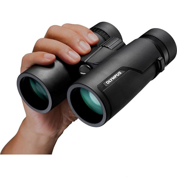 Olympus Pro 8x42 Kikare Guld