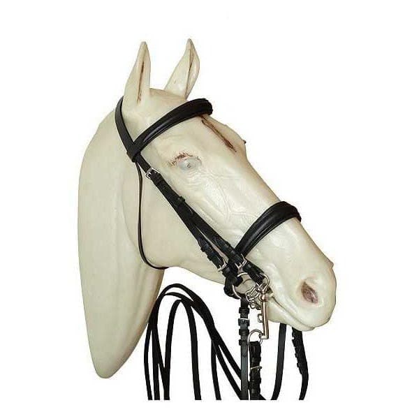 Marjoman Distribucion Kouluratsastus Snaffle-ja Bit Winoseband-suitsetille  Cob