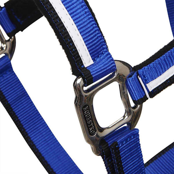 Equestro White Trim Riimu Ja Talutin  Pony