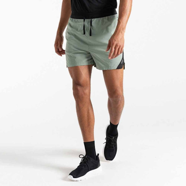 Dare2b Shorts Ultimate Grå M Mand
