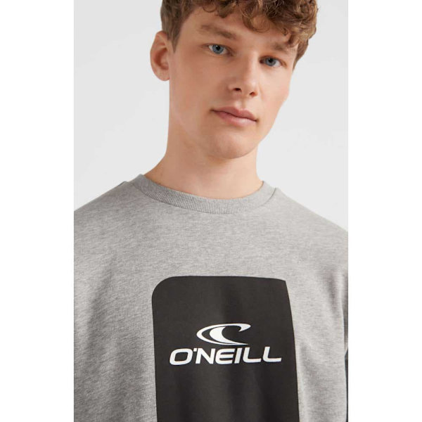 O´neill Sweatshirt Cube Grå L Mand