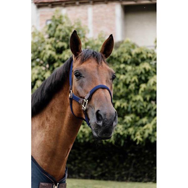 Kentucky Punottu Riimu Nylon  Full