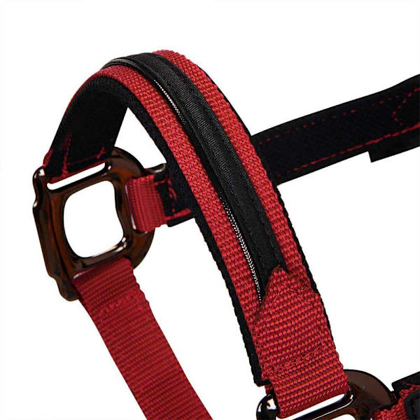 Equestro Elegance Riimu Ja Talutin  Full