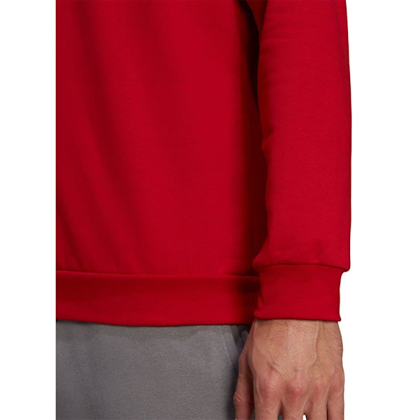 Adidas Huppari Entrada 22 Stadium Sw Punainen L / Regular Mies
