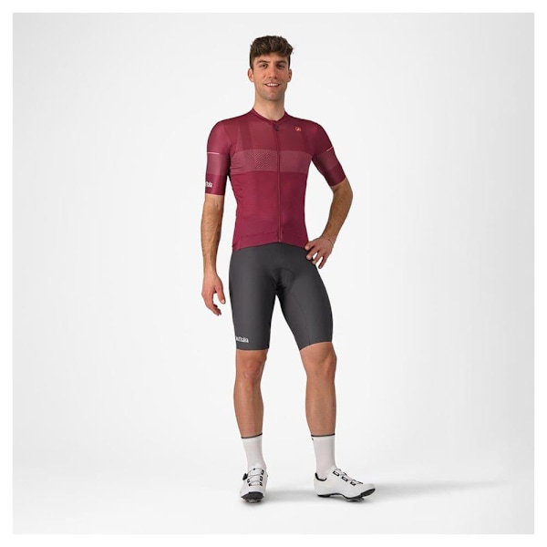 Castelli #giro Trofeo 2024 Cykelbyxor Lila XL Man