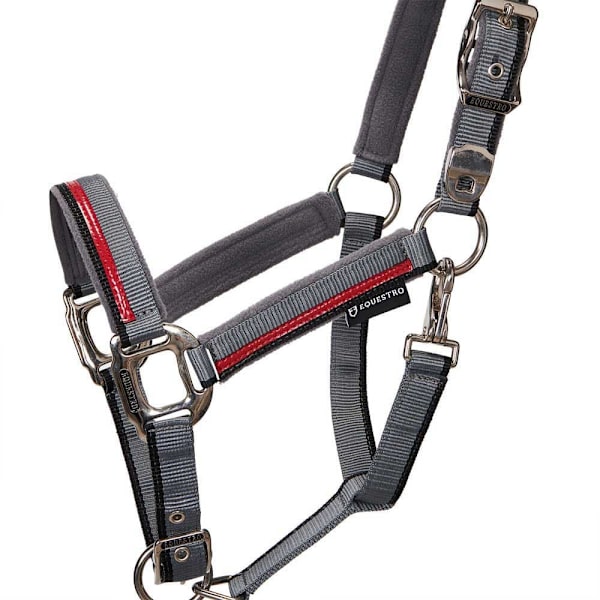 Equestro Red Trim Riimu Ja Talutin  Coby