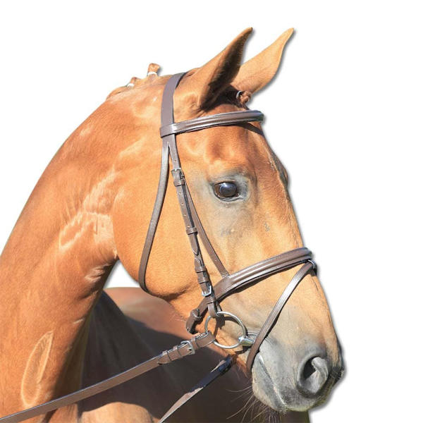 Star Suitset Lifestyle Kultainen Pony