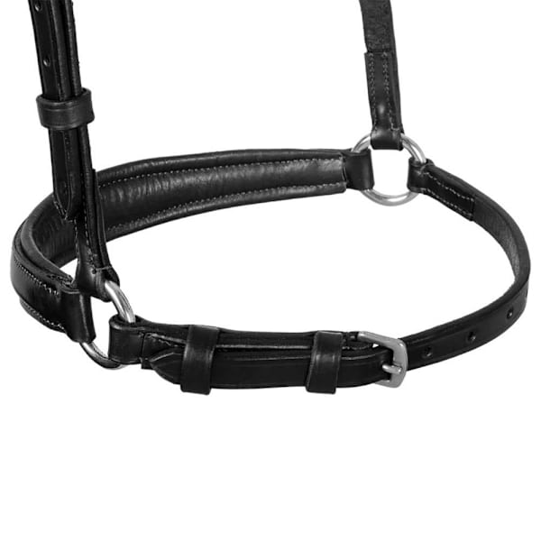 Equestro German Style Noseband Tygel  Full