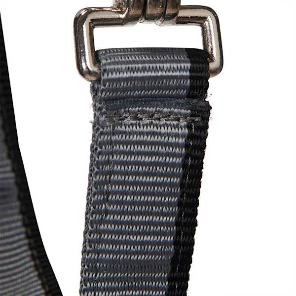 Equestro Red Trim Riimu Ja Talutin  Full