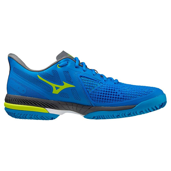 Mizuno Alle Court Sko Wave Exceed Tour 5 Cc Blå EU 44 Mand
