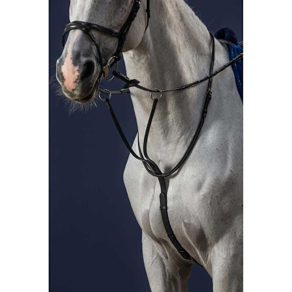 Dyon New English Collection Martingale Svart Pony