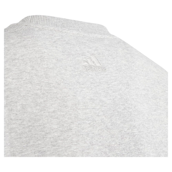 Adidas Tröja All Szn Graphic Grå 15-16 Years Pojke