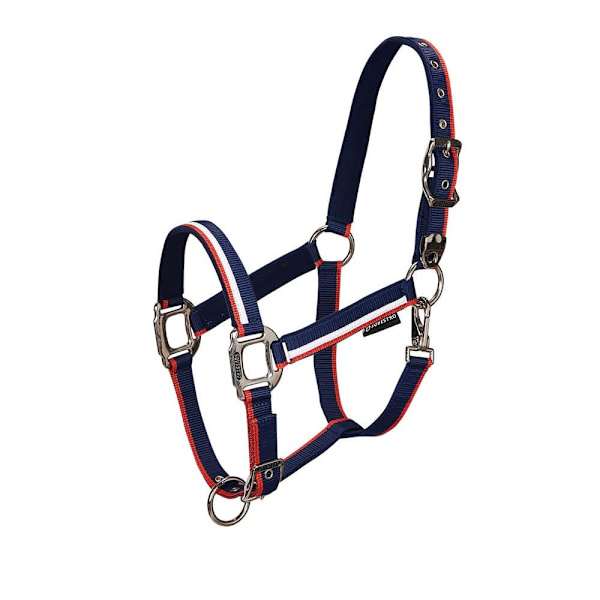 Equestro White Trim Riimu Ja Talutin  Coby