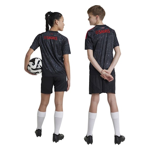 Adidas Benfica Lisboa Smu 24/25 Vieraspelipaita, Lyhythihainen  9-10 Years