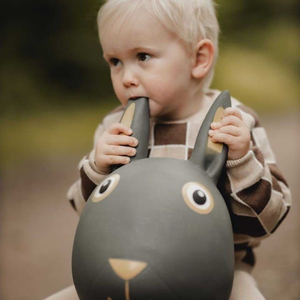 Find That Hippo Kanin