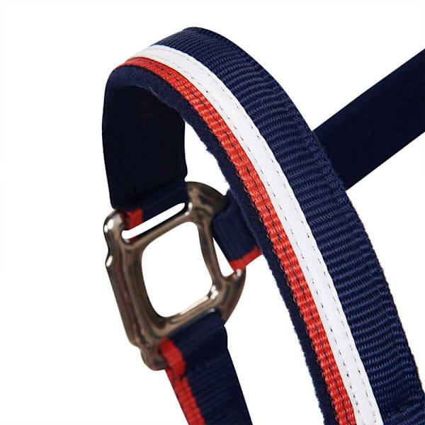 Equestro White Trim Riimu Ja Talutin  Coby