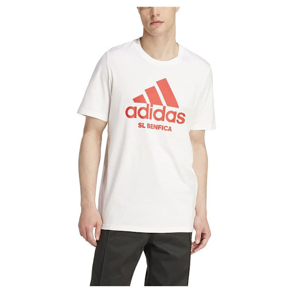 Adidas Benfica 24/25 Szn Graphic Lyhythihainen T-paita  L