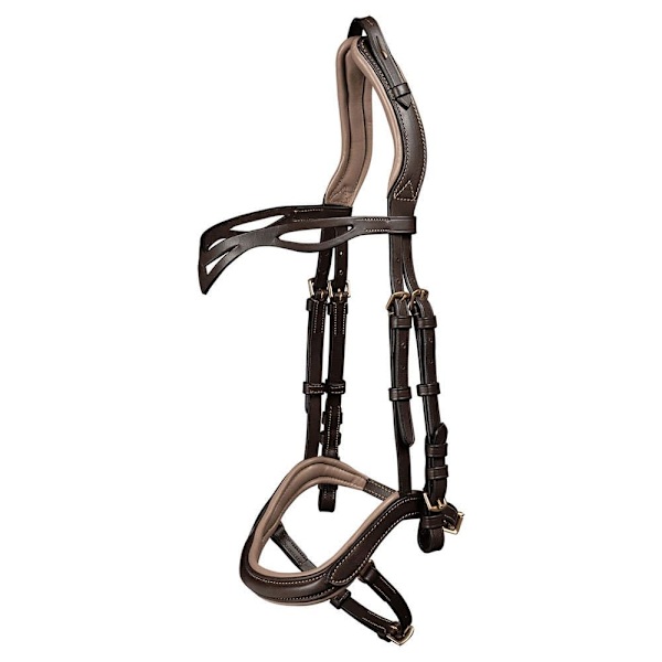 Waldhausen Suitset Icelandic Anatomic Kultainen