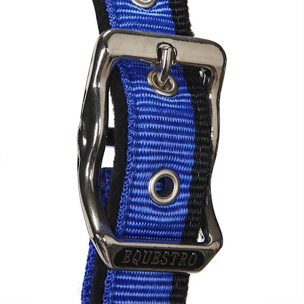 Equestro White Trim Riimu Ja Talutin  Coby