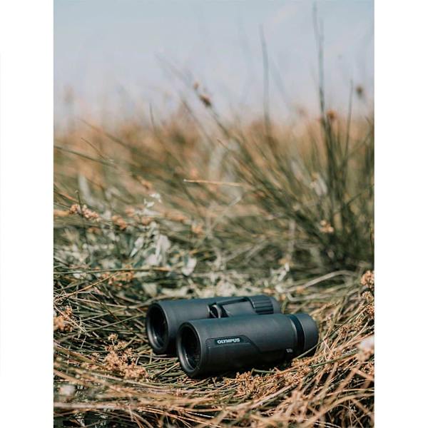 Olympus Kikare Pro 10x42 Guld