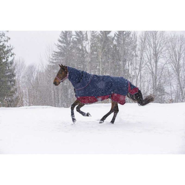 Equitheme Vattentätt Halsskydd Tyrex 1200 D Polyfil 200g Blå Cob