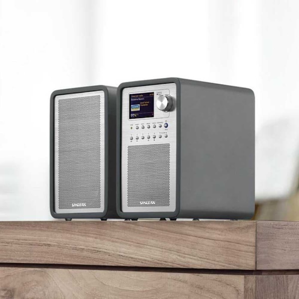 Sangean Internet-radio Wfr-70 Hopeinen