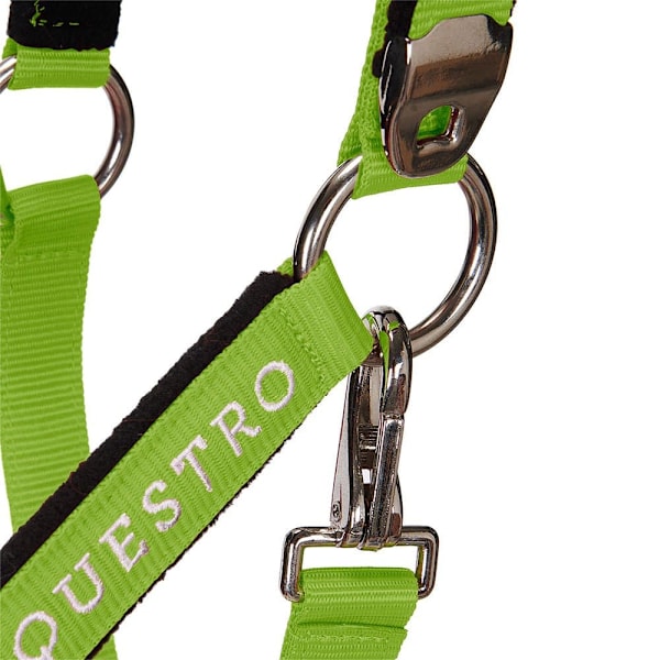 Equestro Riimu Ja Lyijy Shiny Fittings  Cob