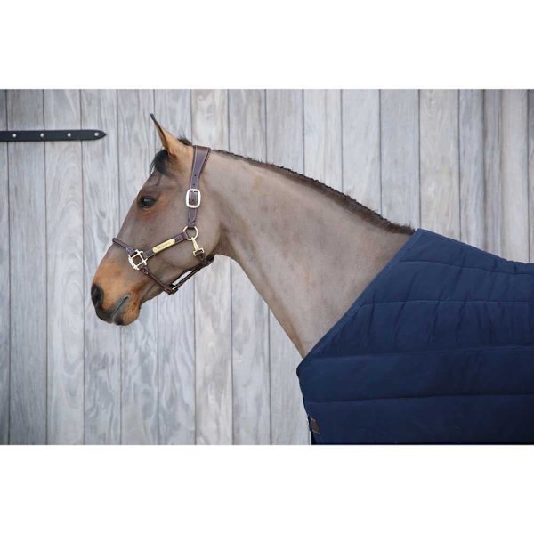 Kentucky Under Matta Skin Friendly 300g  155 cm