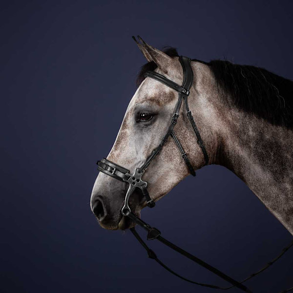 Dyon Suitset New English Collection Hackamore  Full