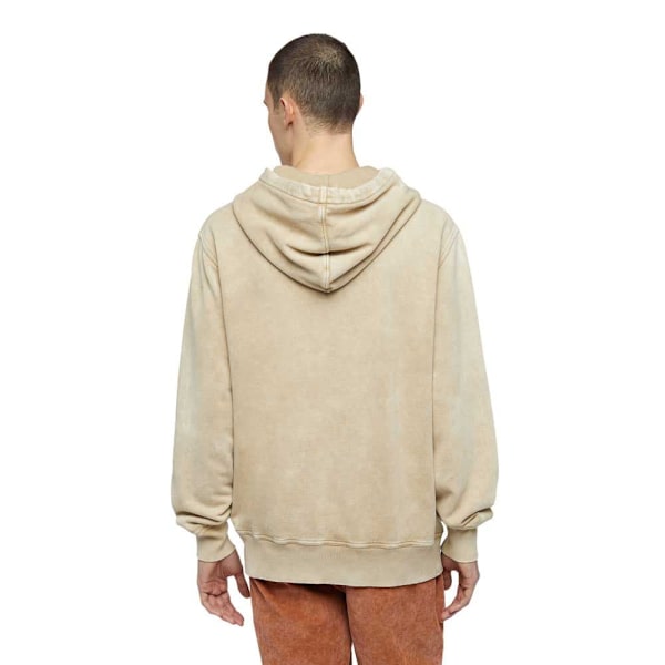 Dickies Newington Hættetrøje Beige M Mand