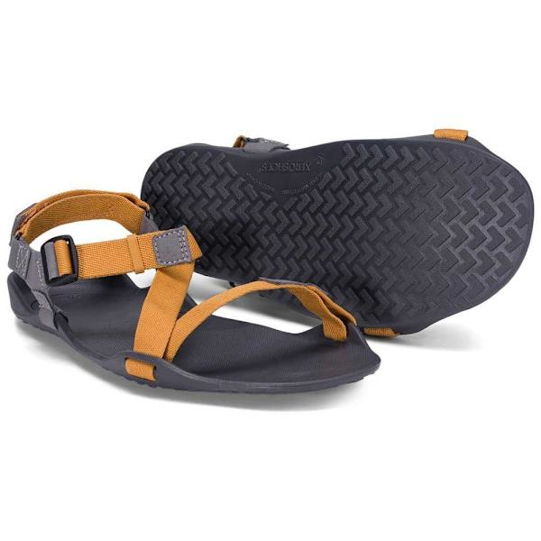 Xero Shoes Sandaler Z-trek Ii Brun EU 45 Man