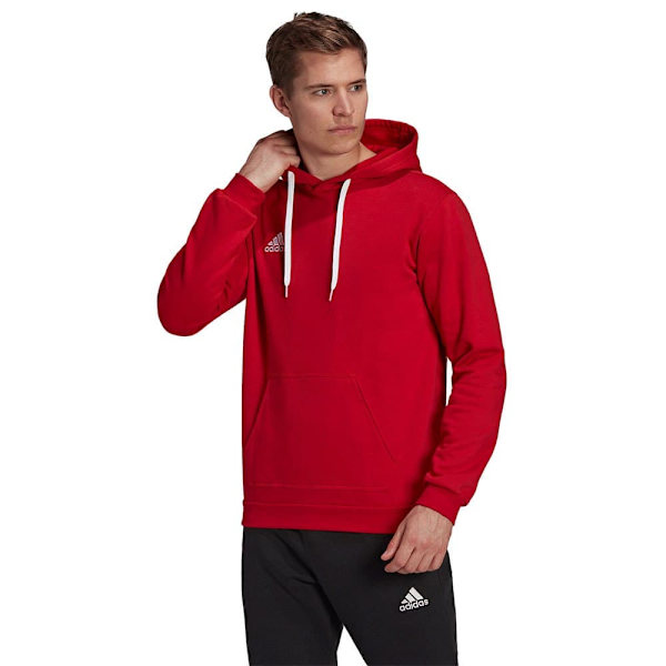 Adidas Huppari Entrada 22 Punainen M / Tall 2 Mies