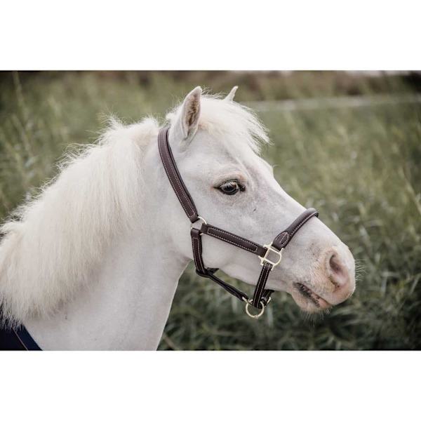Kentucky Lampaannahkainen Nahkariimu  Shetland Pony