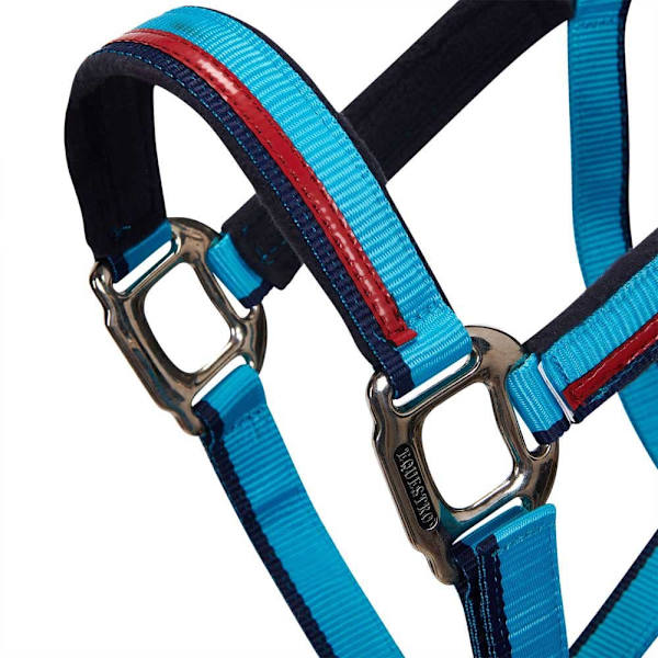Equestro Red Trim Riimu Ja Talutin  Coby