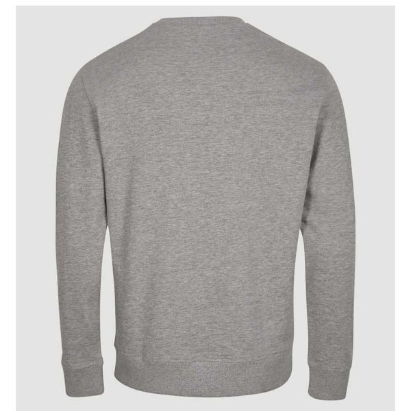 O´neill Sweatshirt Cube Grå L Mand