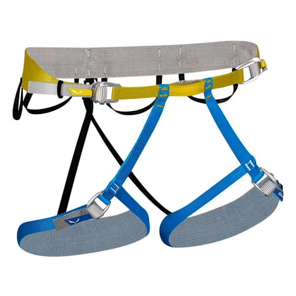 Salewa Valjaat Altitude Sininen,Harmaa S-M