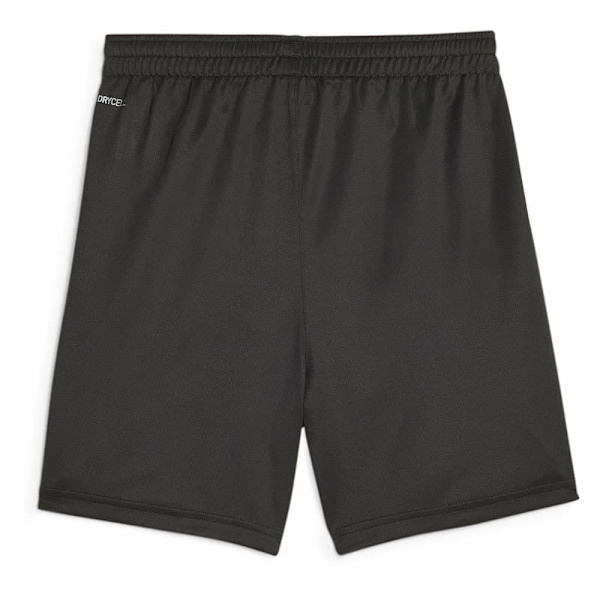 Puma Shorts Valencia Cf Grå 5-6 Years
