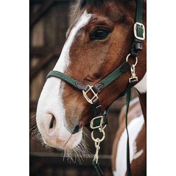 Kentucky Punottu Riimu Nylon  Cob
