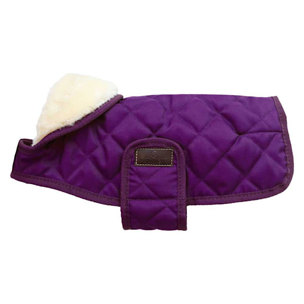 Kentucky Koiran Takki Original Violetti 40 cm