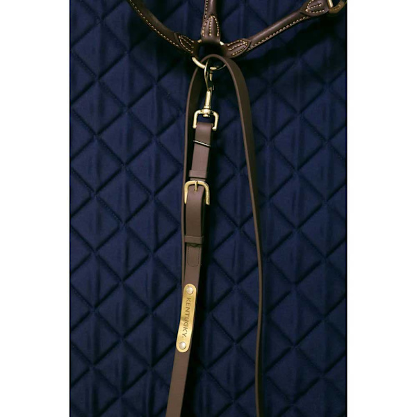 Kentucky Præsentationsleder  200 cm